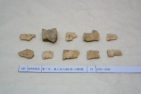 藏品(殷墟有字甲片)的圖片