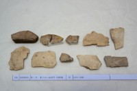 藏品(殷墟有字甲片)的圖片