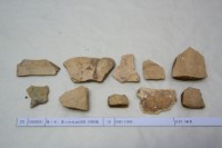 藏品(殷墟有字甲片)的圖片