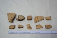 藏品(殷墟有字甲片)的圖片