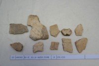 藏品(殷墟有字甲片)的圖片