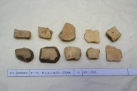 藏品(殷墟有字甲片)的圖片