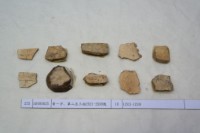 藏品(殷墟有字甲片)的圖片