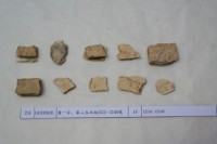 藏品(殷墟有字甲片)的圖片