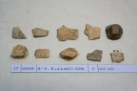 藏品(殷墟有字甲片)的圖片