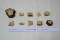 藏品(殷墟有字甲片)的圖片