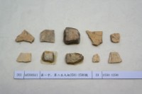 藏品(殷墟有字甲片)的圖片