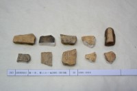 藏品(殷墟有字甲片)的圖片