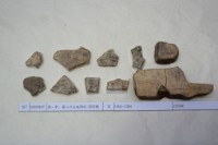 藏品(殷墟有字甲片)的圖片