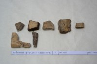 藏品(殷墟有字甲片)的圖片