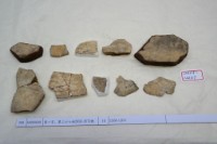 藏品(殷墟有字甲片)的圖片