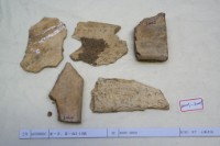 藏品(殷墟有字骨片)的圖片