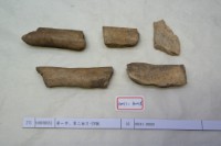 藏品(殷墟有字骨片)的圖片