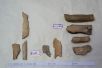 藏品(殷墟有字骨片)的圖片