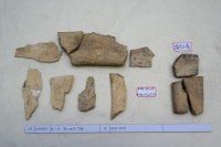 藏品(殷墟有字骨片)的圖片