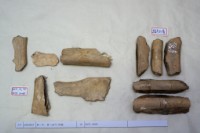 藏品(殷墟有字骨片)的圖片