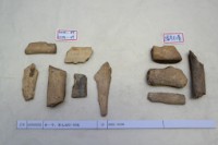 藏品(殷墟有字骨片)的圖片