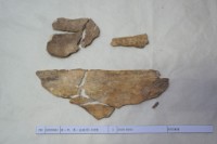 藏品(殷墟有字骨片)的圖片