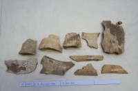 藏品(殷墟有字骨片)的圖片