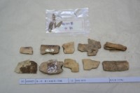 藏品(殷墟有字骨片)的圖片