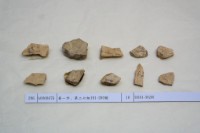 藏品(殷墟有字骨片)的圖片