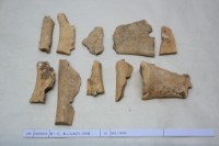 藏品(殷墟有字骨片)的圖片