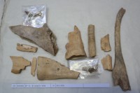 藏品(殷墟有字骨片)的圖片