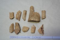 藏品(殷墟有字骨片)的圖片