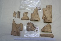 藏品(殷墟有字骨片)的圖片