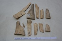 藏品(殷墟有字骨片)的圖片