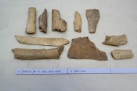 藏品(殷墟有字骨片)的圖片