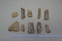 藏品(殷墟有字骨片)的圖片