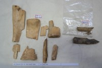 藏品(殷墟有字骨片)的圖片