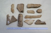 藏品(殷墟有字骨片)的圖片