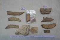 藏品(殷墟有字骨片)的圖片