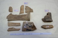 藏品(殷墟有字骨片)的圖片