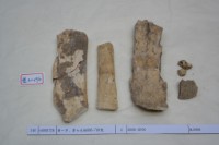 藏品(殷墟有字骨片)的圖片