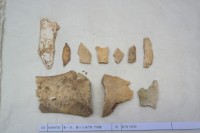 藏品(殷墟有字骨片)的圖片