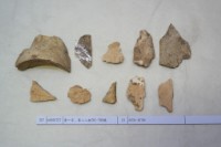 藏品(殷墟有字骨片)的圖片