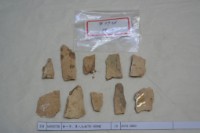 藏品(殷墟有字骨片)的圖片