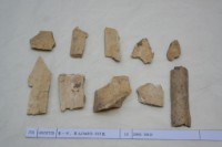 藏品(殷墟有字骨片)的圖片