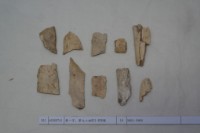 藏品(殷墟有字骨片)的圖片