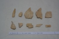 藏品(殷墟有字骨片)的圖片