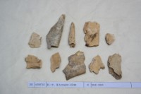 藏品(殷墟有字骨片)的圖片