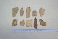 藏品(殷墟有字骨片)的圖片