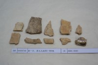 藏品(殷墟有字骨片)的圖片