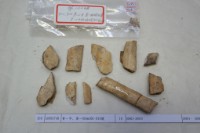 藏品(殷墟有字骨片)的圖片