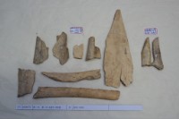 藏品(殷墟有字骨片)的圖片