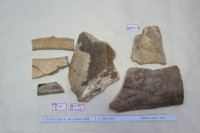 藏品(殷墟有字骨片)的圖片