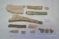 藏品(殷墟有字骨片)的圖片